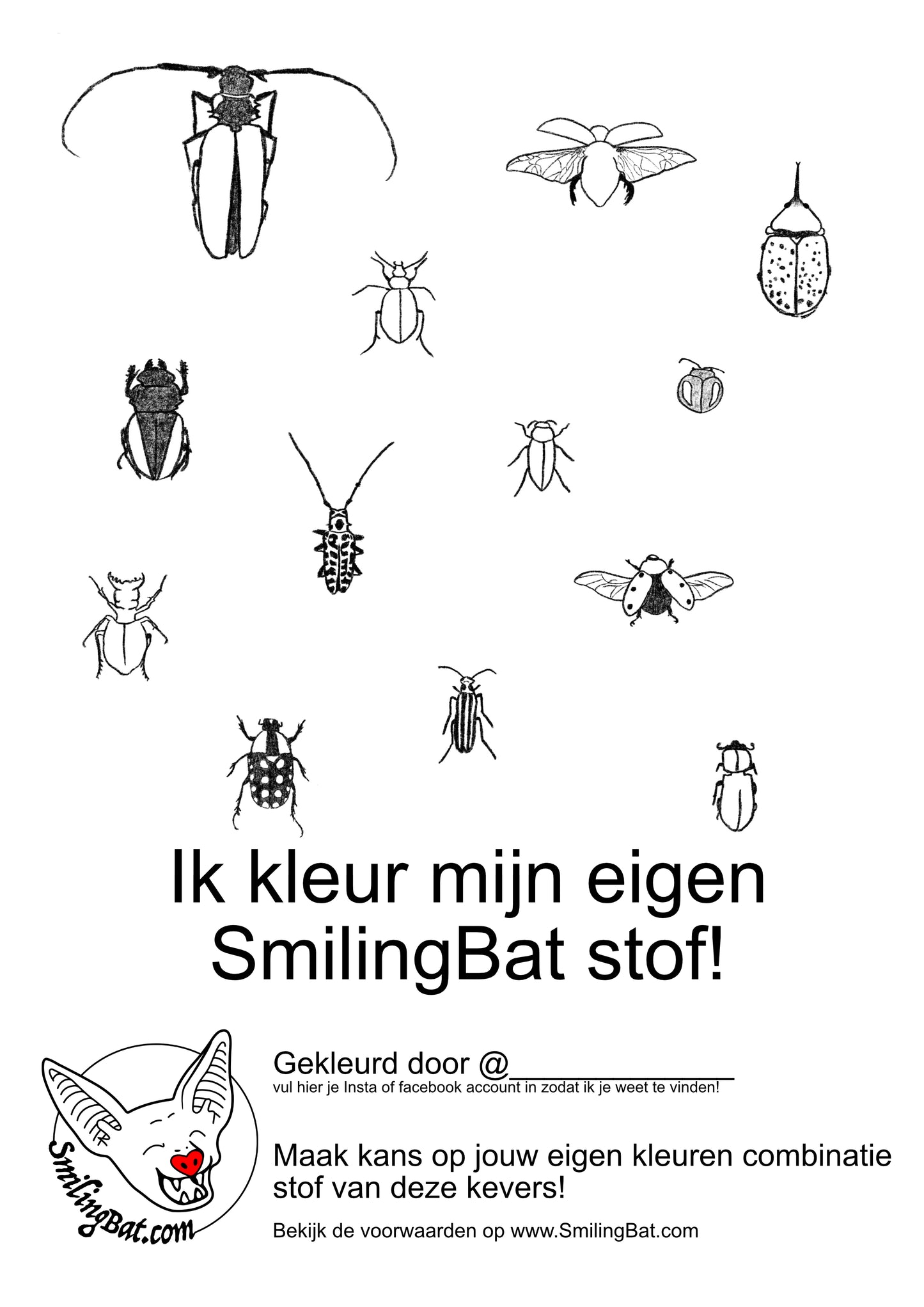 Kleurwedstrijd